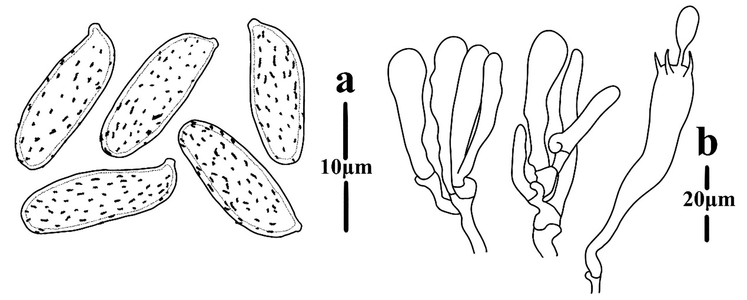 Figure 59